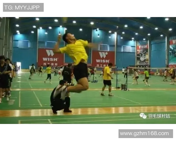 成都羽毛球队防反战术解析与实战应用探讨MBA